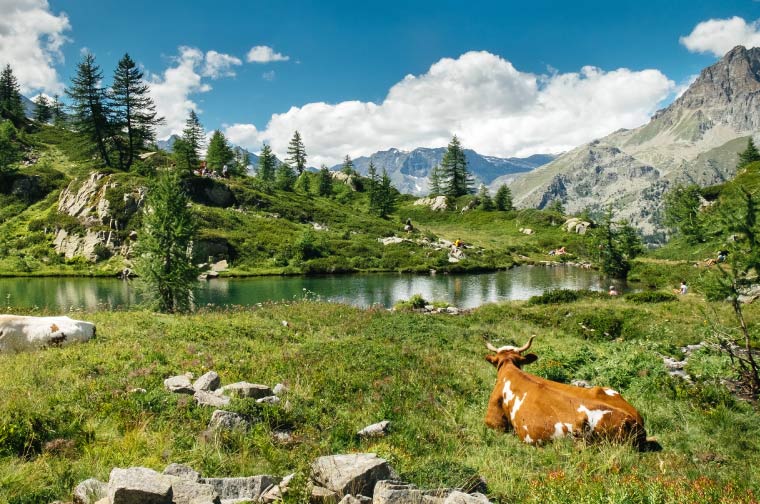 Canavese Ceresole Reale