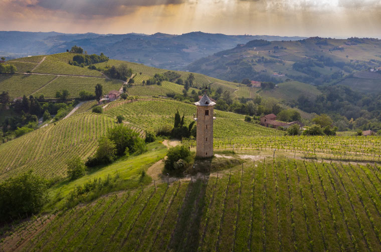 Canelli delle Colline Piemontesi