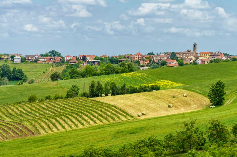 Colli Tortonesi Tortona