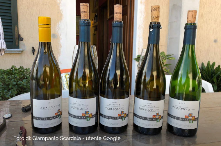 Colli Tortonesi Vigneti massa