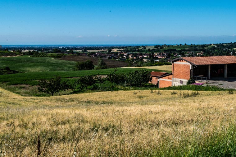 Colli Tortonesiì Volpedo