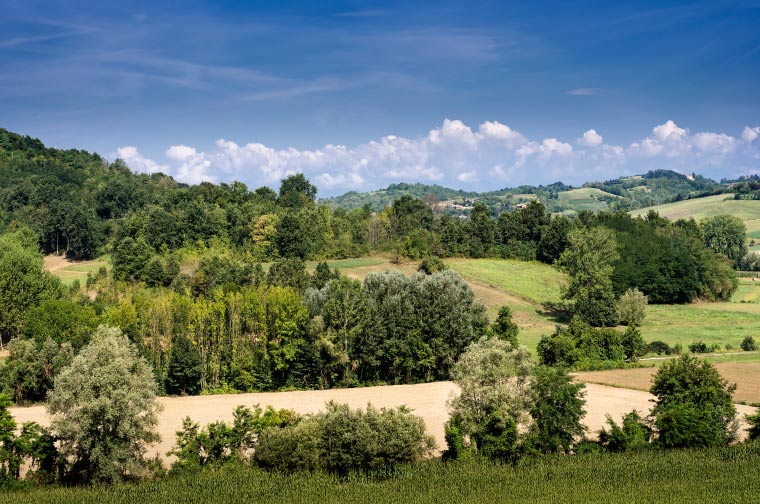 Colline Torinesi Marentino