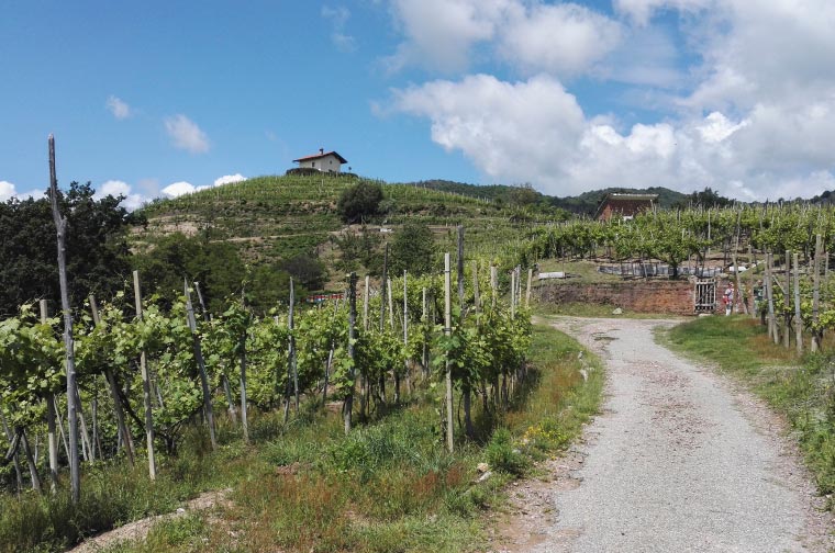 Colline novaresi Boca