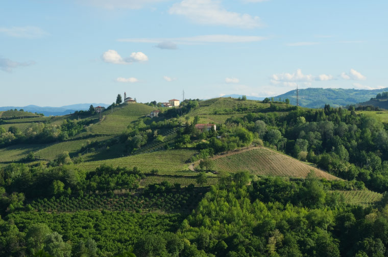 Le Langhe Alta Langa