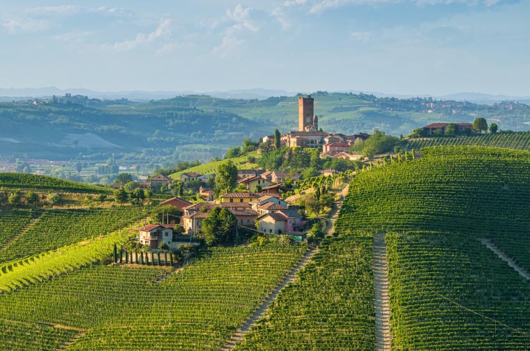 Le Langhe Barbaresco