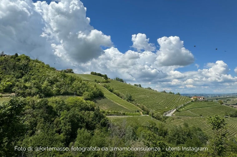 Le Langhe Fortemasso