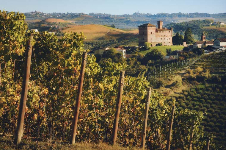 Le Langhe Grinzane Cavour