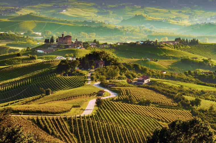 Le Langhe delle Colline Piemontesi