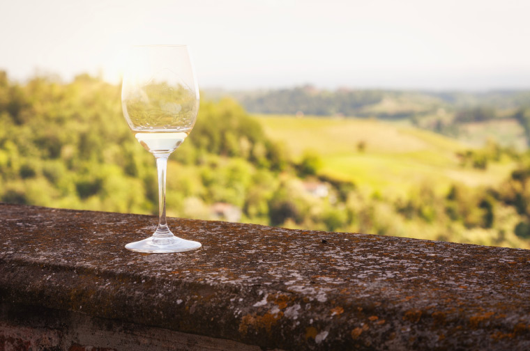 Monferrato I vini del Monferrato