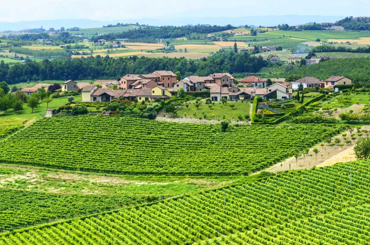 Monferrato Rosignano Monferrato