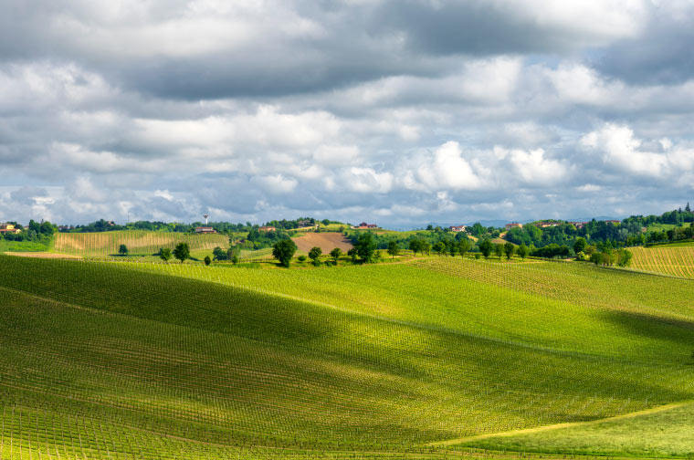 Monferrato