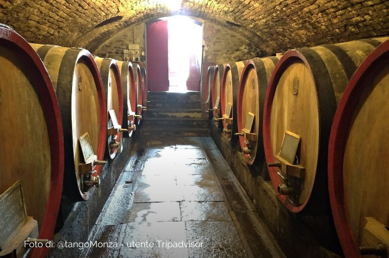 Neive Cantina del Glicine