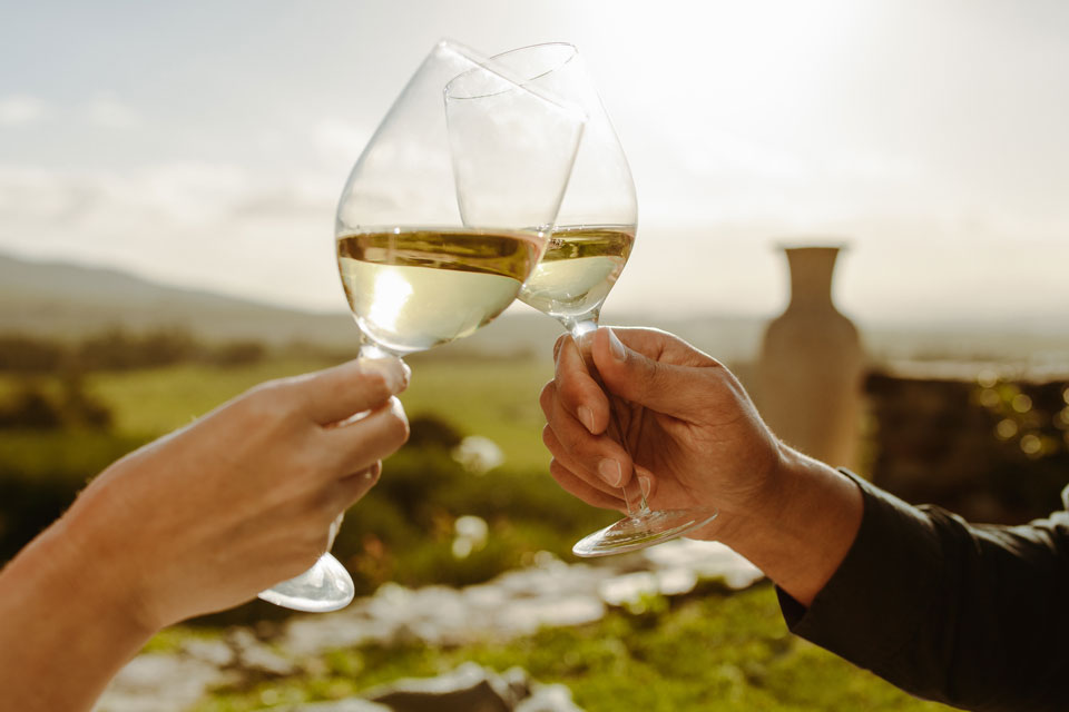 brindisi vino gavi