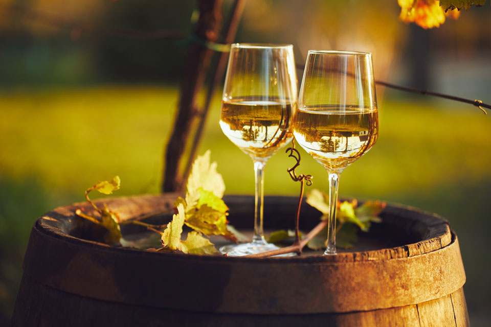calici vino bianco piemonte