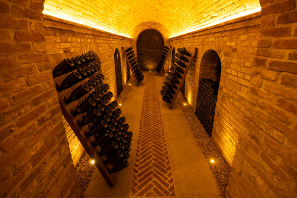 cantina vino piemonte