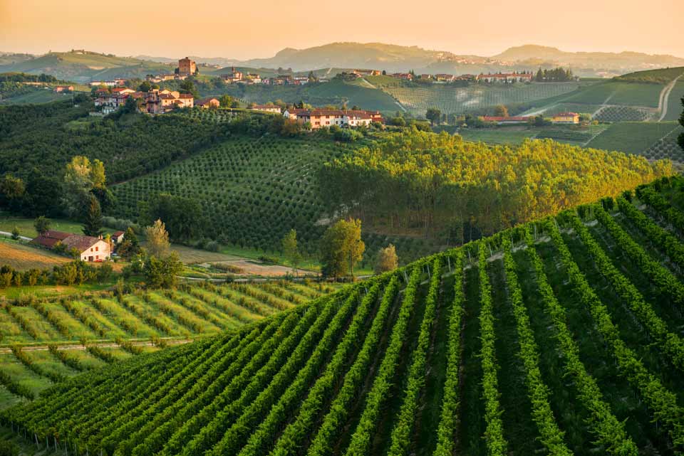 Asti Spumante colline