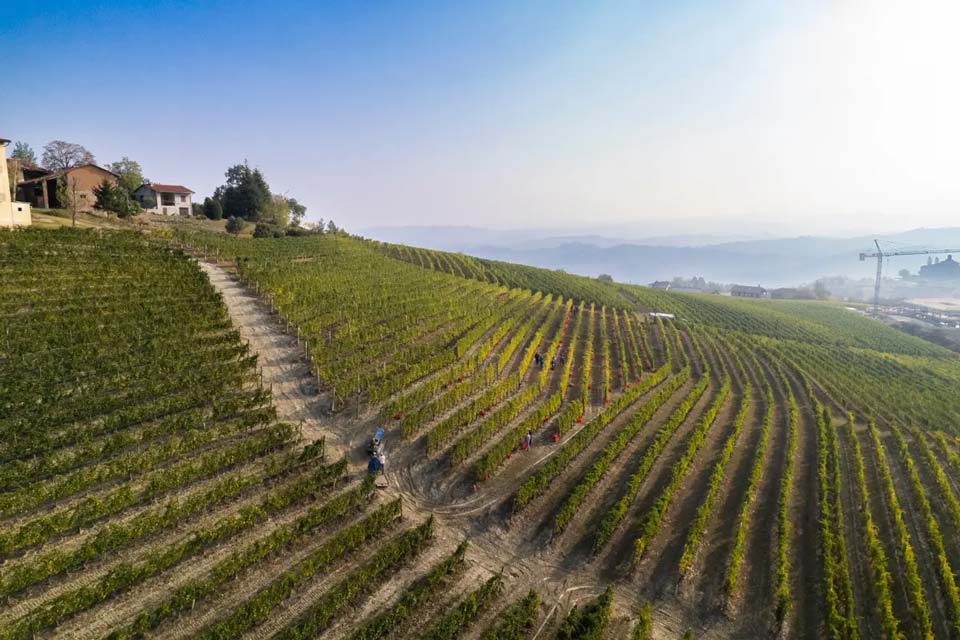 Azienda Agricola G D Vajra