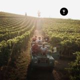Degustazione con tour Oddone Prati
