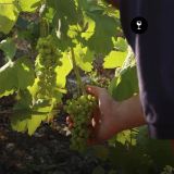 Degustazione premium Cascina Rainero