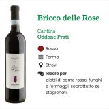 Bricco delle Rose Oddone Prati Rosso - Caratteristiche e abbinamenti