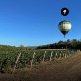 Volo (esclusivo) nel Monferrato Mongolfiere in Piemonte