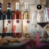 Degustazione di 4 vini con tagliere Cinque Quinti