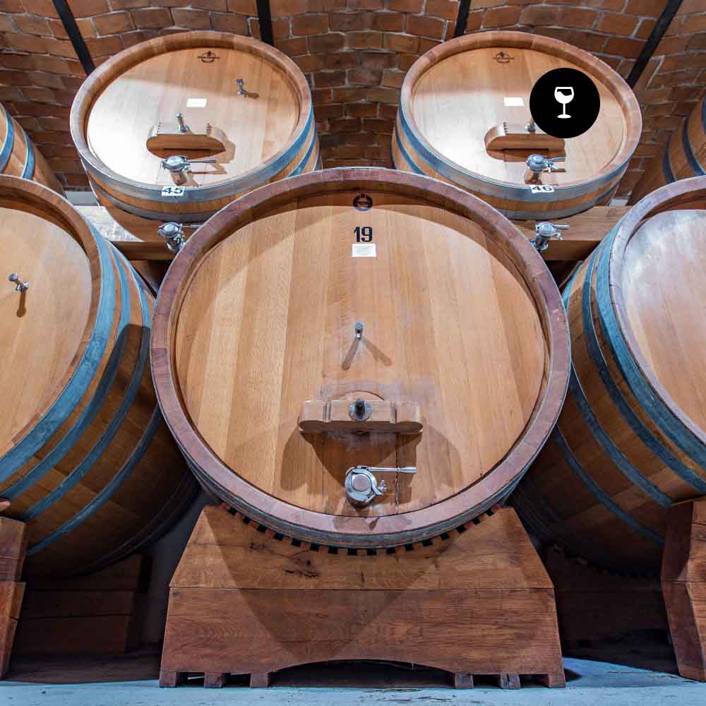 Degustazione con piatti tipici Massimo Rivetti