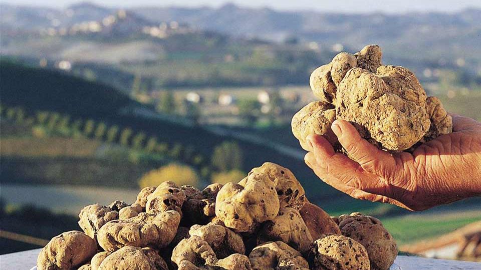 Langhe Fiera Internazionale del Tartufo