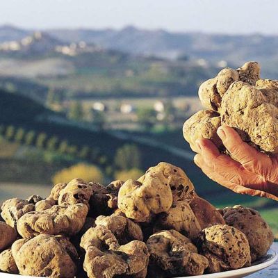 Langhe Fiera Internazionale del Tartufo