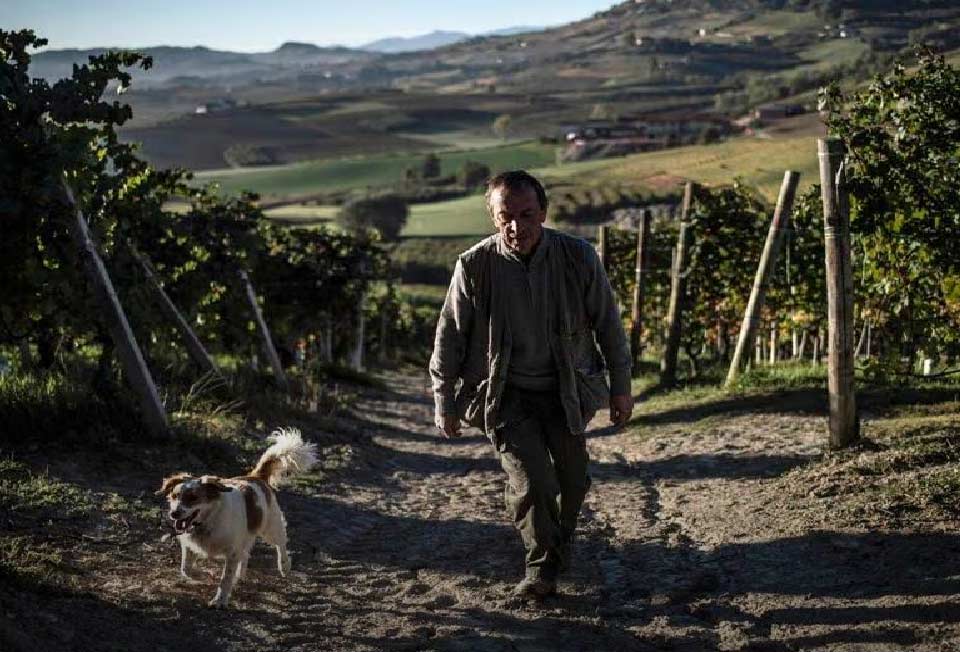 Università dei cani da tartufo a Roddi