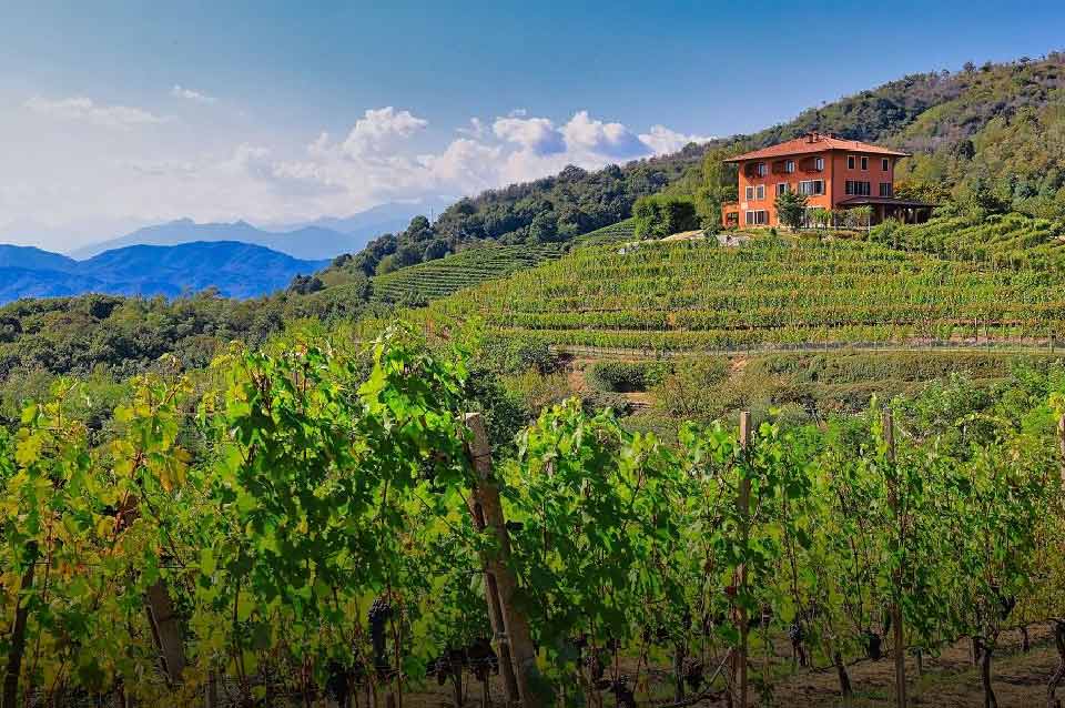 Vitigni a Boca in Piemonte